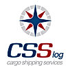 CSS Log-Logo